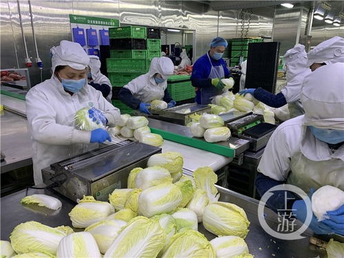 重庆部分民生保障与食品加工企业科学有序复工复产